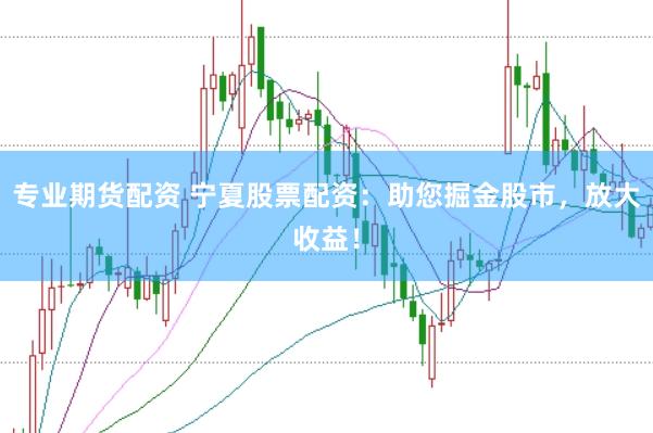 专业期货配资 宁夏股票配资：助您掘金股市，放大收益！