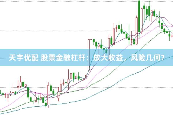 天宇优配 股票金融杠杆：放大收益，风险几何？