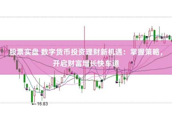 股票实盘 数字货币投资理财新机遇：掌握策略，开启财富增长快车道
