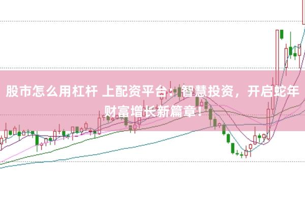 股市怎么用杠杆 上配资平台：智慧投资，开启蛇年财富增长新篇章！