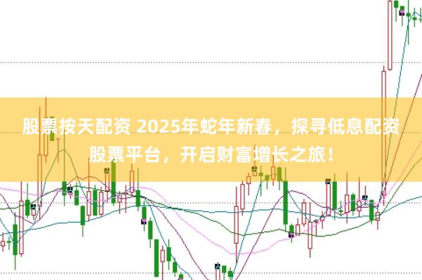 股票按天配资 2025年蛇年新春，探寻低息配资股票平台，开启财富增长之旅！