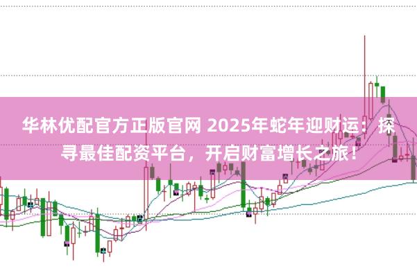 华林优配官方正版官网 2025年蛇年迎财运：探寻最佳配资平台，开启财富增长之旅！