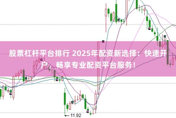 股票杠杆平台排行 2025年配资新选择：快速开户，畅享专业配资平台服务！
