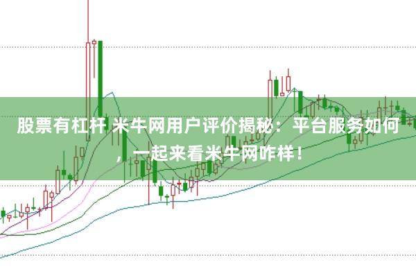 股票有杠杆 米牛网用户评价揭秘：平台服务如何，一起来看米牛网咋样！