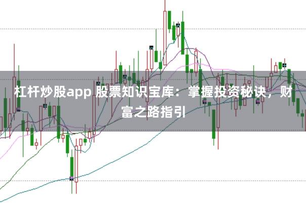 杠杆炒股app 股票知识宝库：掌握投资秘诀，财富之路指引