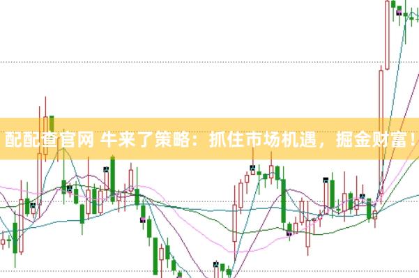 配配查官网 牛来了策略：抓住市场机遇，掘金财富！