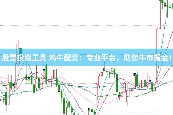 股票投资工具 鸿牛配资：专业平台，助您牛市掘金！