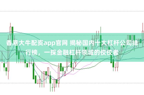 香港大牛配资app官网 揭秘国内十大杠杆公司排行榜，一探金融杠杆领域的佼佼者