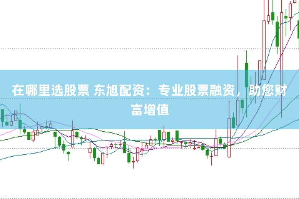 在哪里选股票 东旭配资：专业股票融资，助您财富增值