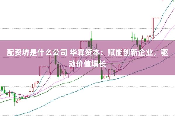 配资坊是什么公司 华霖资本：赋能创新企业，驱动价值增长