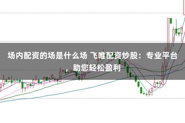 场内配资的场是什么场 飞唯配资炒股：专业平台，助您轻松盈利