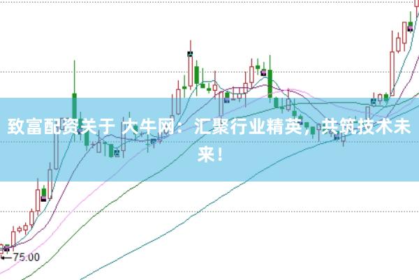 致富配资关于 大牛网：汇聚行业精英，共筑技术未来！