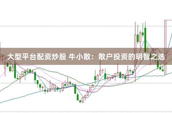 大型平台配资炒股 牛小散：散户投资的明智之选
