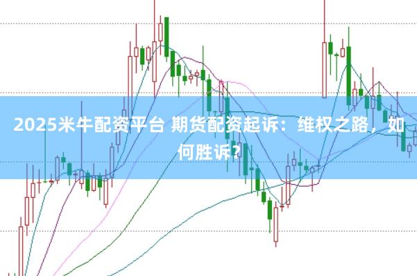 2025米牛配资平台 期货配资起诉：维权之路，如何胜诉？