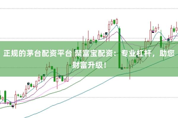 正规的茅台配资平台 聚富宝配资：专业杠杆，助您财富升级！