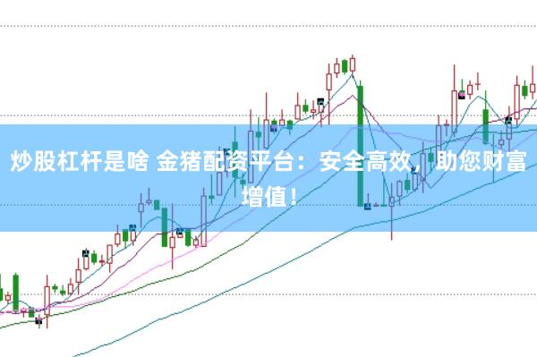 炒股杠杆是啥 金猪配资平台：安全高效，助您财富增值！