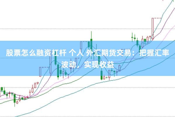 股票怎么融资杠杆 个人 外汇期货交易：把握汇率波动，实现收益