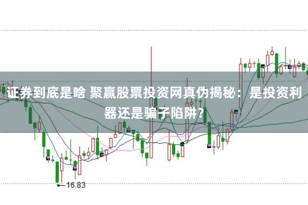 证券到底是啥 聚赢股票投资网真伪揭秘：是投资利器还是骗子陷阱？